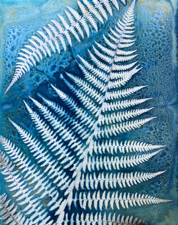 Wet Plate Cyanotype - Ferns by Ellen Dooley